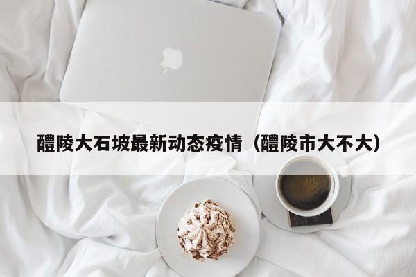 醴陵大石坡最新动态疫情（醴陵市大不大）
