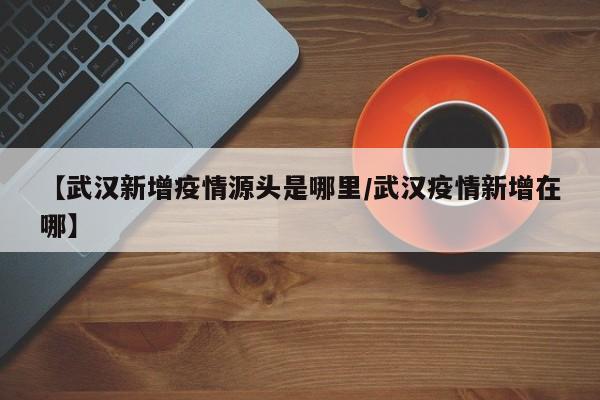 【武汉新增疫情源头是哪里／武汉疫情新增在哪】